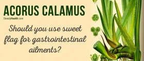Acorus Calamus: Use Sweet Flag For Gastrointestinal Ailments (Ulcers, Upset Stomach, Flatulence)?