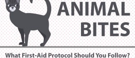 Animal Bites: What First-Aid Protocol Should You Follow?