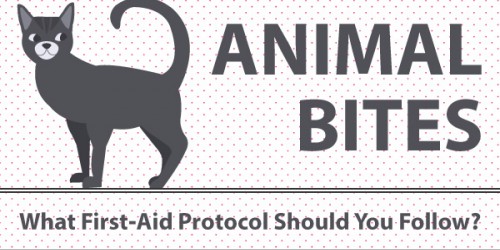 Animal Bites: What First-Aid Protocol Should You Follow?