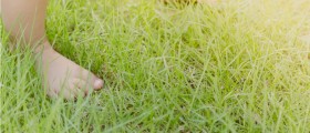 Are Bowed Legs Connected To Toddler's Delays In Walking?