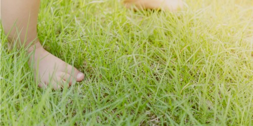 Are Bowed Legs Connected To Toddler's Delays In Walking?