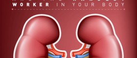 13 Signs of Kidney Disease You Should Never Ignore