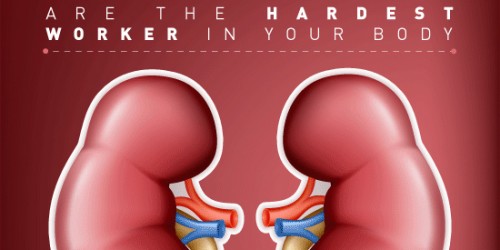 13 Signs of Kidney Disease You Should Never Ignore