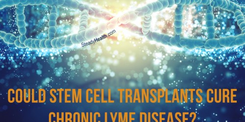 Could Stem Cell Transplants Cure Chronic Lyme Disease?