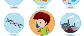 6 Asthma Causes And Triggers: Can You Blame Allergy, Genetics, Food, Heartburn, Exercise, Or Stress?