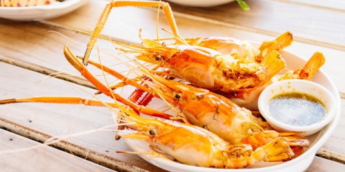 All About Food Allergies: Triggers, Symptoms, Anaphylaxis, Treatment