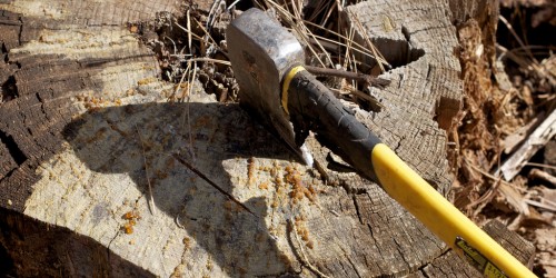 Getting Ripped With Your Spotter Mother Nature