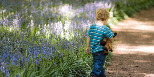 Wondering If Your Child Is Ready To Go Out Or Stay Home Alone?