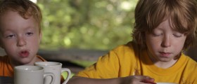 Pre-natal And Early Life Factors Predicting Obesity In Children