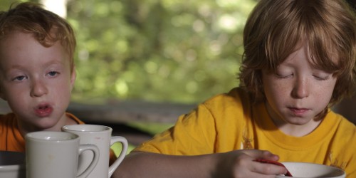 Pre-natal And Early Life Factors Predicting Obesity In Children