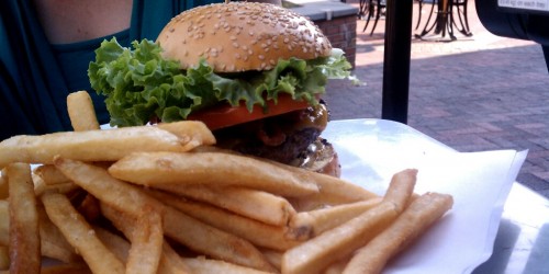 Does HDL Cholesterol Protect Against Heart Diseases As Effectively As It Is Thought?