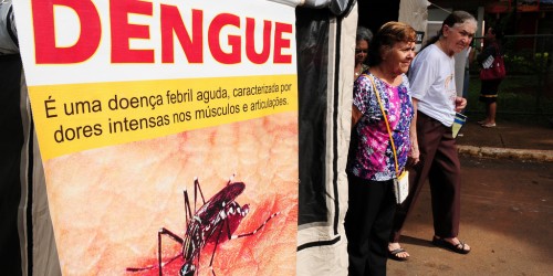 Immunization For Dengue Fever May Be Coming Soon
