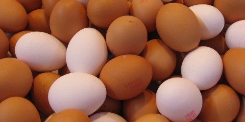 Becoming An Egg Donor In Illinois