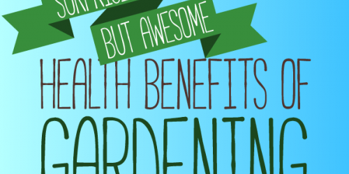 Why Gardening Is Great For Your Physical And Mental Health