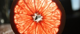 High Fructose Diet Linked To Poor Fetal and Maternal Outcomes