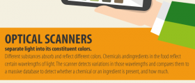 Handheld Scanner Will Ensure Food Quality, Freshness, And Safety