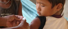 Vaccination Is Not As New As It Seems: Development Of Vaccination And Public Attitudes