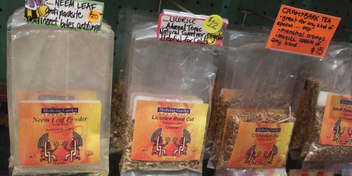 Pancreatic Cancer May Be Treatable With Tree Extract