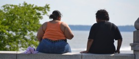 Waist Fat Is More Serious Than Obesity In Non-Alcoholic Fatty Liver Disease