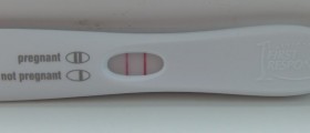 TTC: Preconception health questions