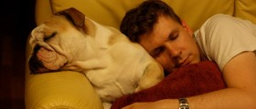 High-Fat Diets Cause Daytime Sleepiness