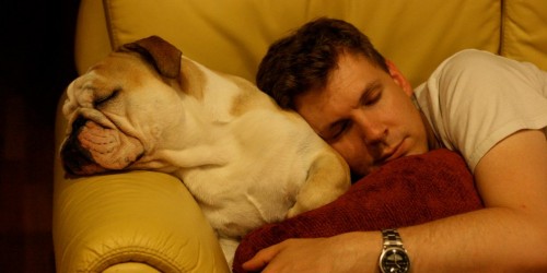 High-Fat Diets Cause Daytime Sleepiness