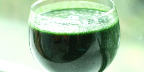 Vegetarian Children: Is The Risk Of Anemia Real?