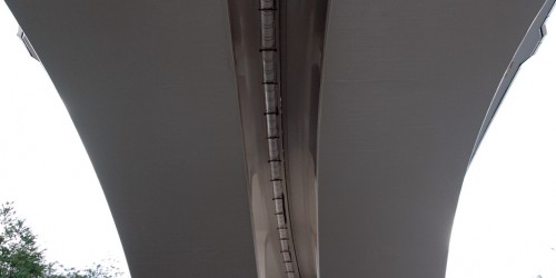 Laryngitis symptoms and treatment