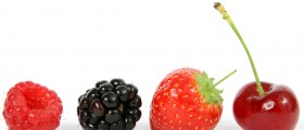 Vitamins That Heal Broken Bones