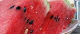 7 Secret Health Benefits of Melon