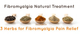 Fibromyalgia Natural Treatment: 3 Herbs for Fibromyalgia Pain Relief
