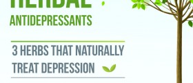 Herbal Antidepressants: 3 Herbs that Naturally Treat Depression