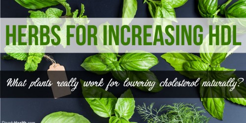 Herbs for Increasing HDL and Improving LDL: Lowering Cholesterol Naturally With Plants