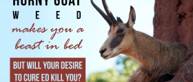 Horny Goat Weed Makes You A Beast In Bed, But Will Your Desire To Cure ED Kill You?