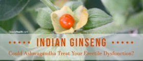 Indian Ginseng: Could Ashwagandha Treat Your Erectile Dysfunction?