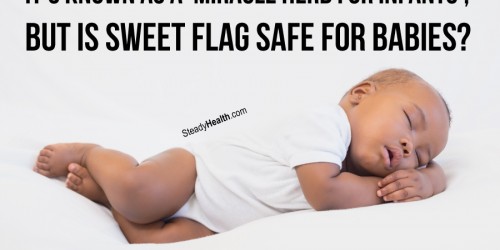 It's Known As A 'Miracle Herb For Infants', But Is Sweet Flag (Acorus Calamus) Safe For Babies?