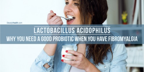 Lactobacillus Acidophilus: Why You Need A Good Probiotic Supplement When You Have Fibromyalgia
