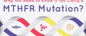 The MTHFR Test: Why Do You Need to Know If You Carry a MTHFR Mutation?