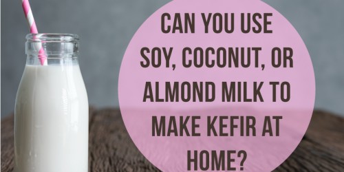 Making Kefir With Kefir Grains: Can You Use Soy, Coconut, Or Almond Milk?