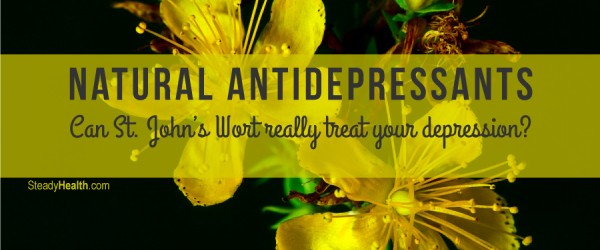 Natural Antidepressants: Can St. John’s Wort Really Treat Your Depression?