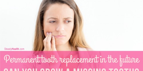 Permanent Tooth Replacement In The Future: Can You Grow A Missing Tooth?