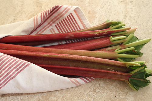 Rhubarb.jpg