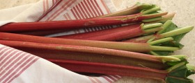 The Amazing Health Benefits of Rhubarb