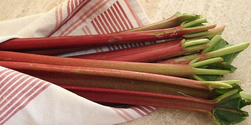 The Amazing Health Benefits of Rhubarb