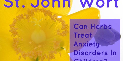 St Johns Wort, Valerian And Other Natural Remedies: Can Herbs Treat Anxiety Disorders In Children?