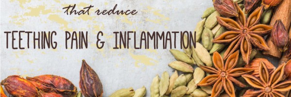 Three Spices And Herbs That Reduce Teething Pain And Inflammation