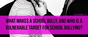 What Makes A School Bully, And Who Is A Vulnerable Target For School Bullying?