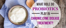What Role Do Probiotics Play In Chronic Lyme Disease Treatment?