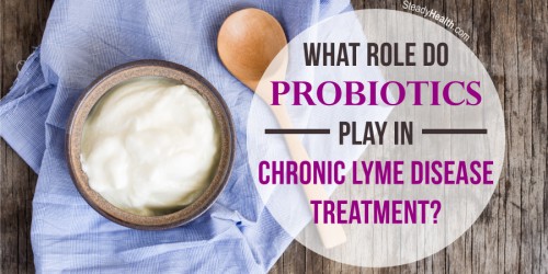 What Role Do Probiotics Play In Chronic Lyme Disease Treatment?