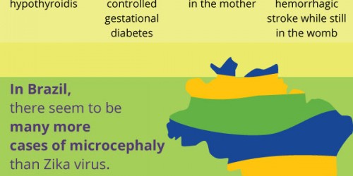 Zika Virus May Affect the Brain Growth and Development